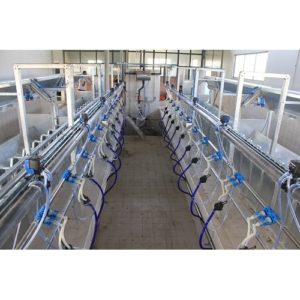 Milking systems for sheep ang goat