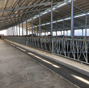 Livestock Equipment